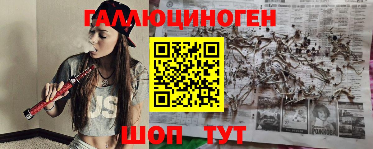 Донецк  Псилоцибиновые грибы Psilocybine cubensis  Вход с VPN 